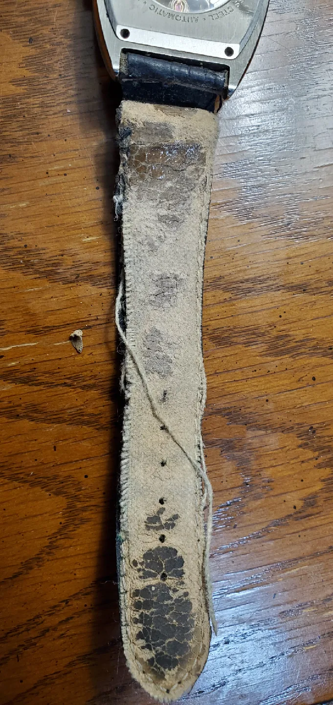 Louis Bolle Automatic Watch (Vintage) image indicator(7)