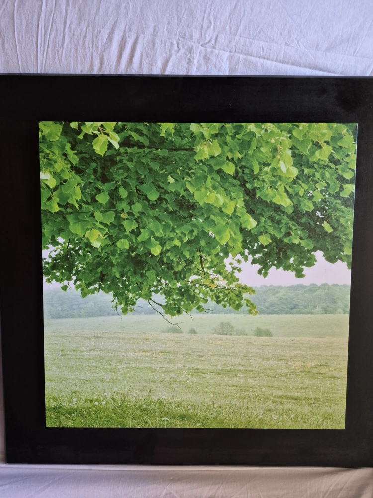 Great Pair of Paintings - photo 2