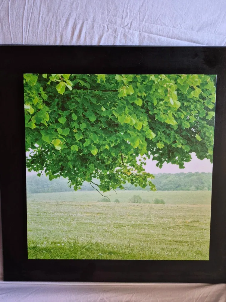 Great Pair of Paintings image indicator(2)