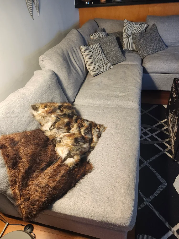 Grey Sectional Sofa with Pillows image indicator(3)