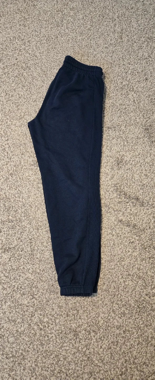 aritizia sweatpants thumbnail