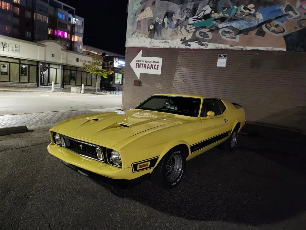 Mustang 1973 Mach 1 image indicator(2)