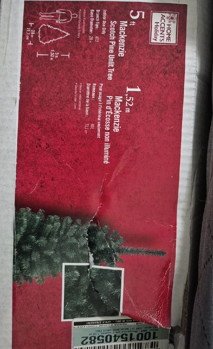 5ft Mackenzie Scotch Pine Unlit Tree
