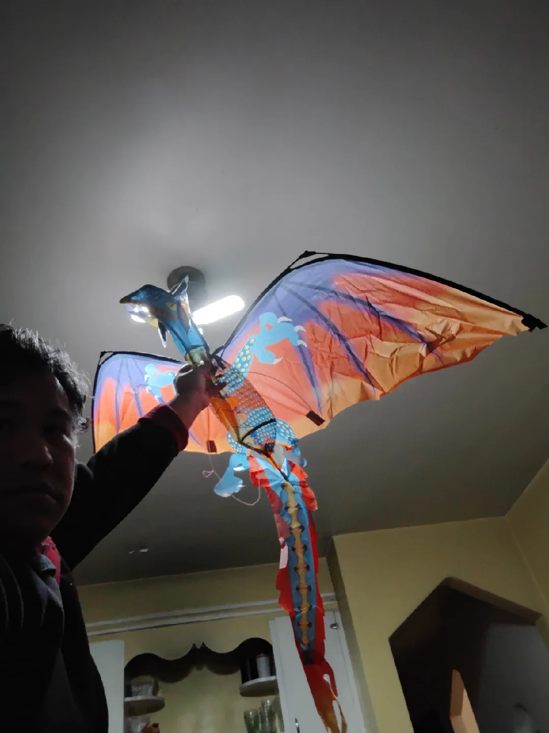 Dragon Kite - Weifang Hengda Kite image indicator(8)