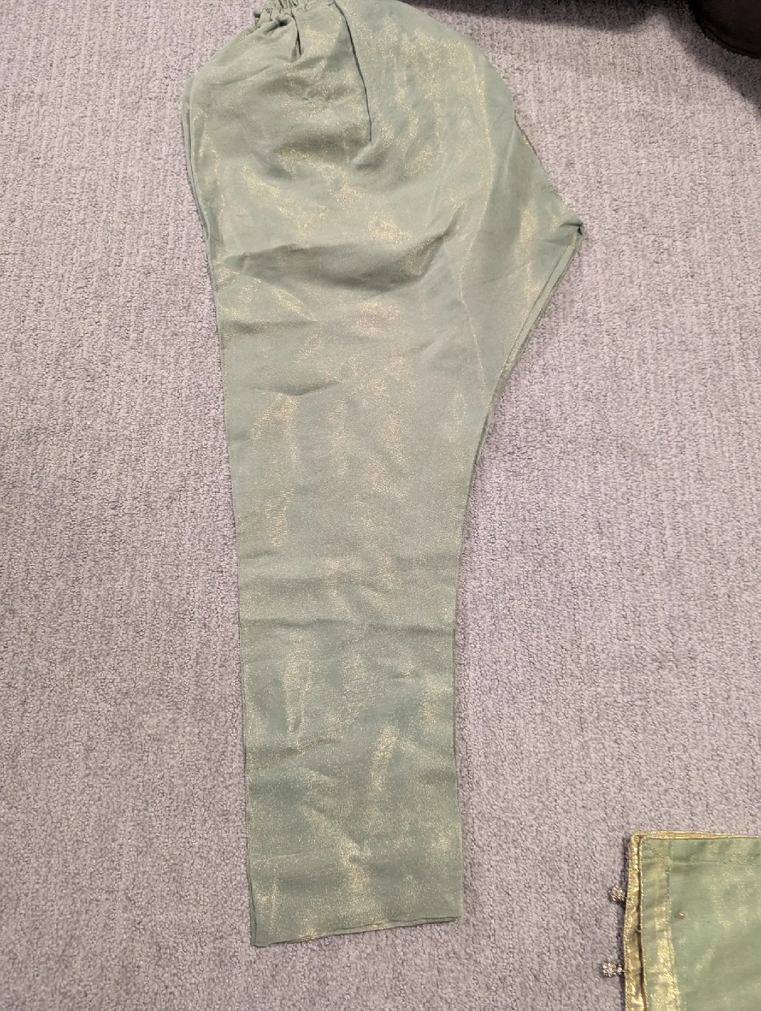 Sage Green Embroidered Salwar Kameez Suit image indicator(2)