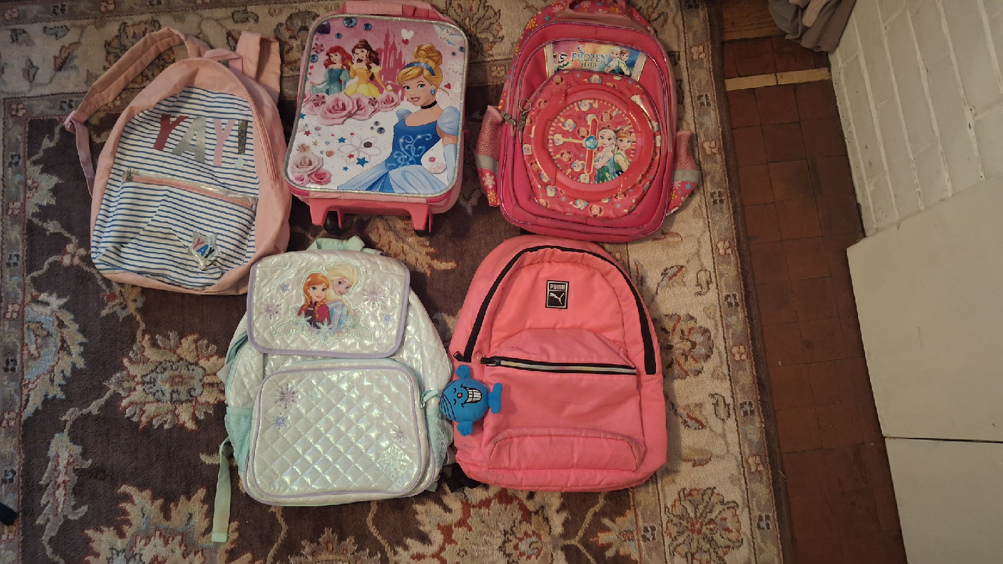 Kids Backpack Bundle - Disney, Frozen, Puma