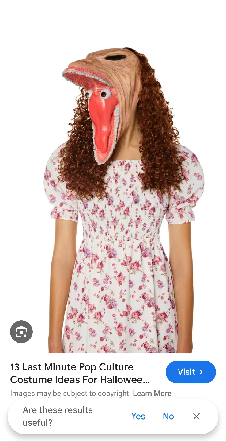 beetlejuice barbara mask image indicator(5)