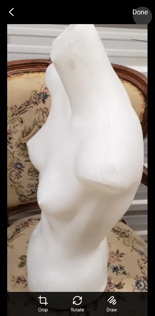 2 Female Mannequin Torso Form image indicator(2)