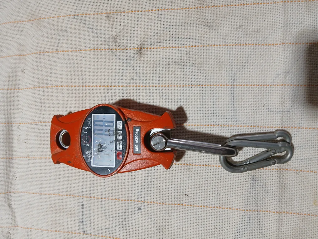 Crane Scale 660lb/300kg image indicator(2)