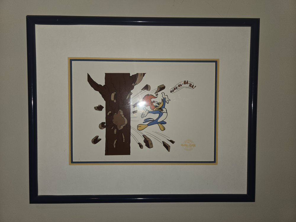 Framed Disney Animation Art Cels