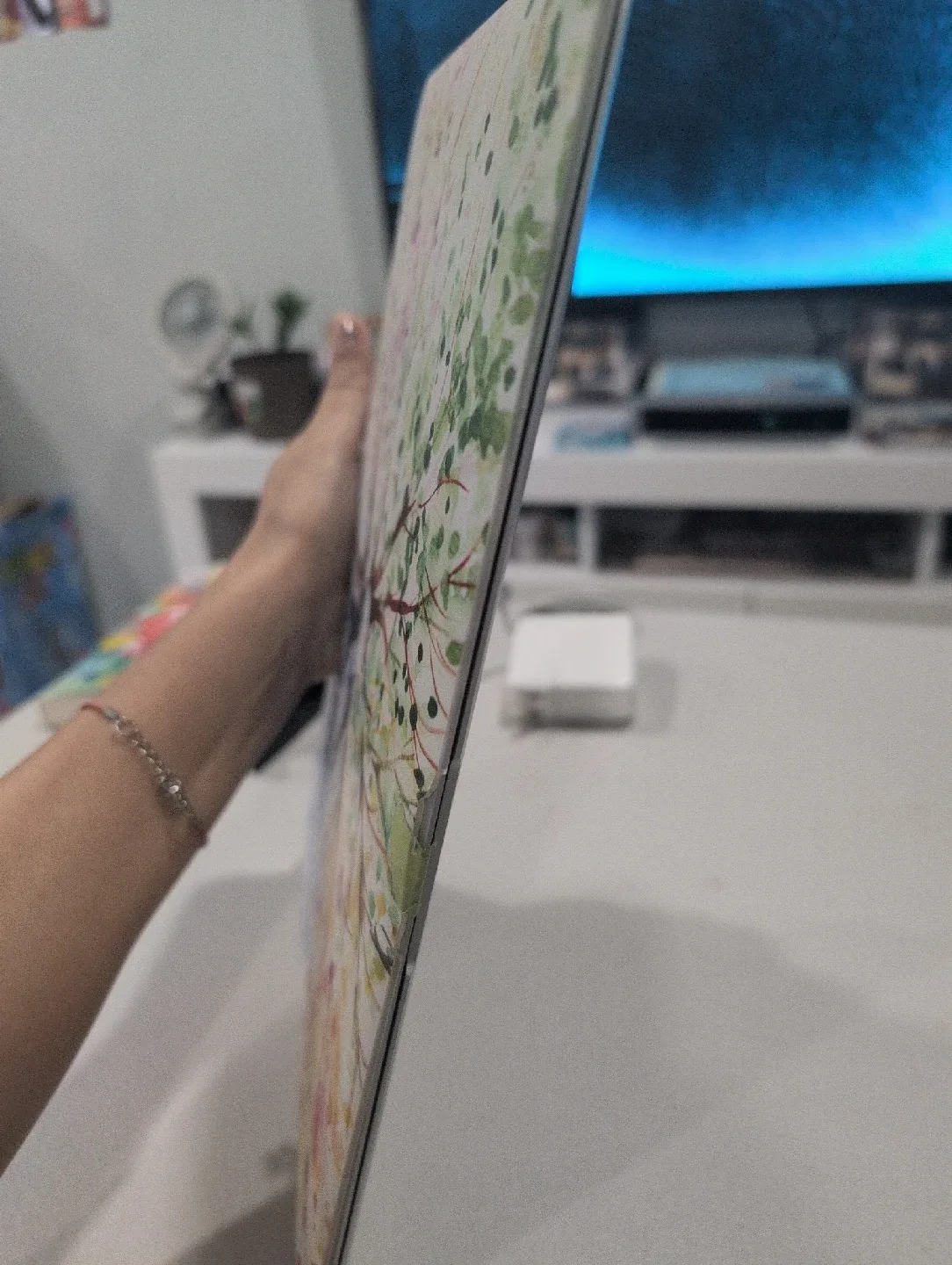 MacBook Air (13-inch, Early 2015) image indicator(3)