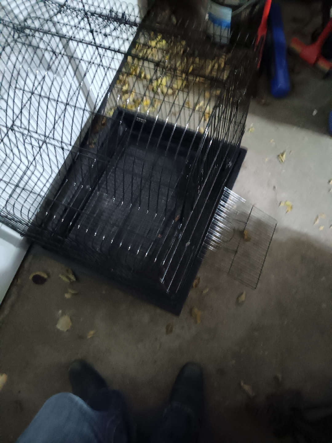 All Living Things 32" Open-Air Bird Cage
