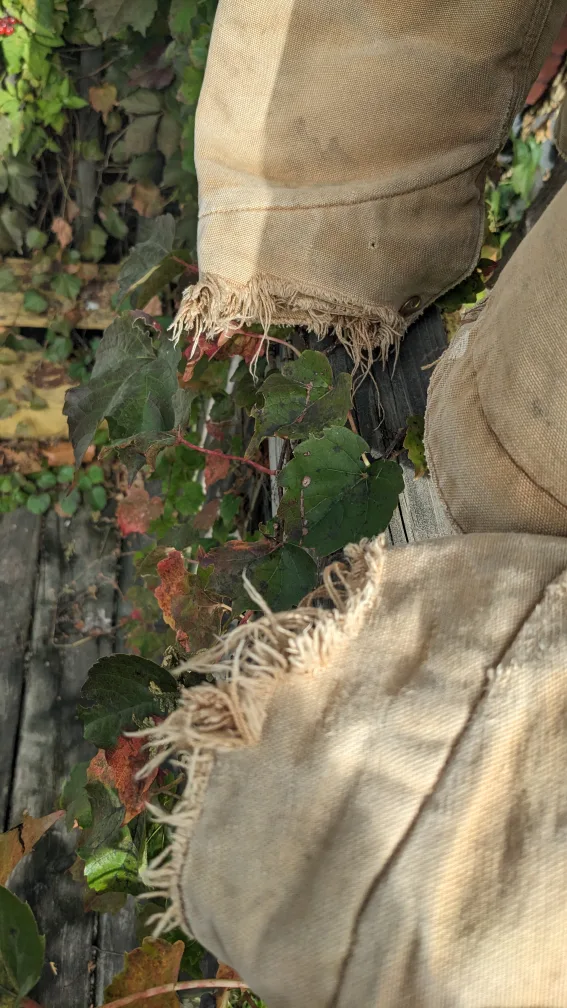 Carhartt Jacket XL Tall image indicator(4)