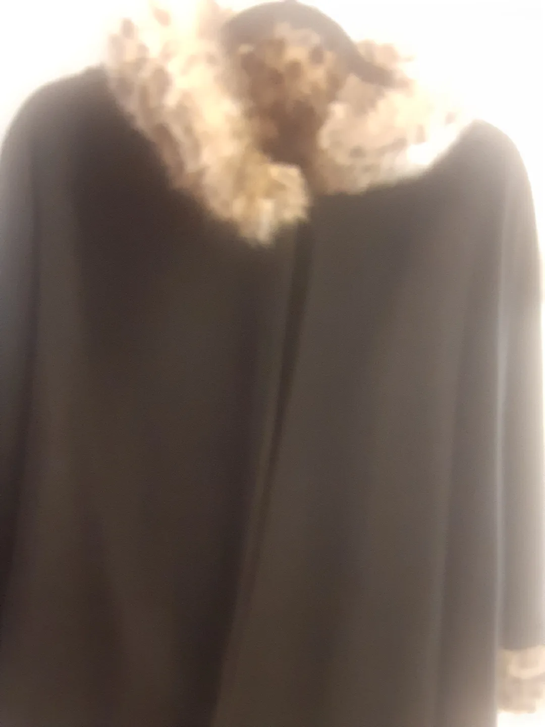 Jessica Black Polyester Cape - One Size image indicator(3)