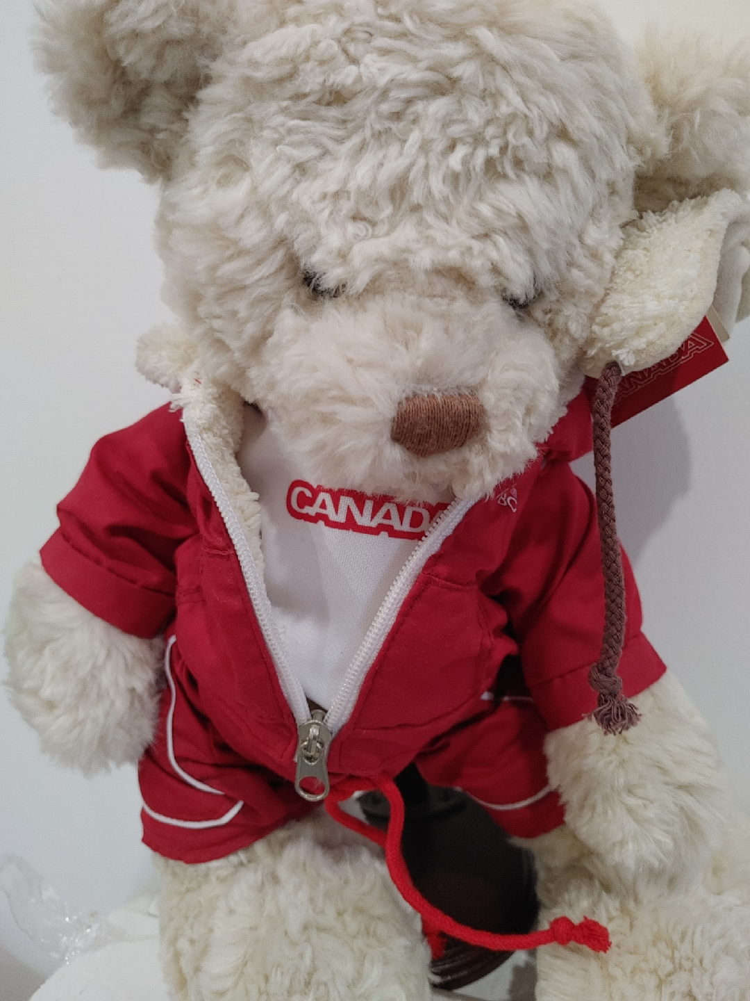 🧡SUPER RARE COLLECTIBLE HBC OLYMPIC BEAR ! NEW WITH TAGS - photo 2