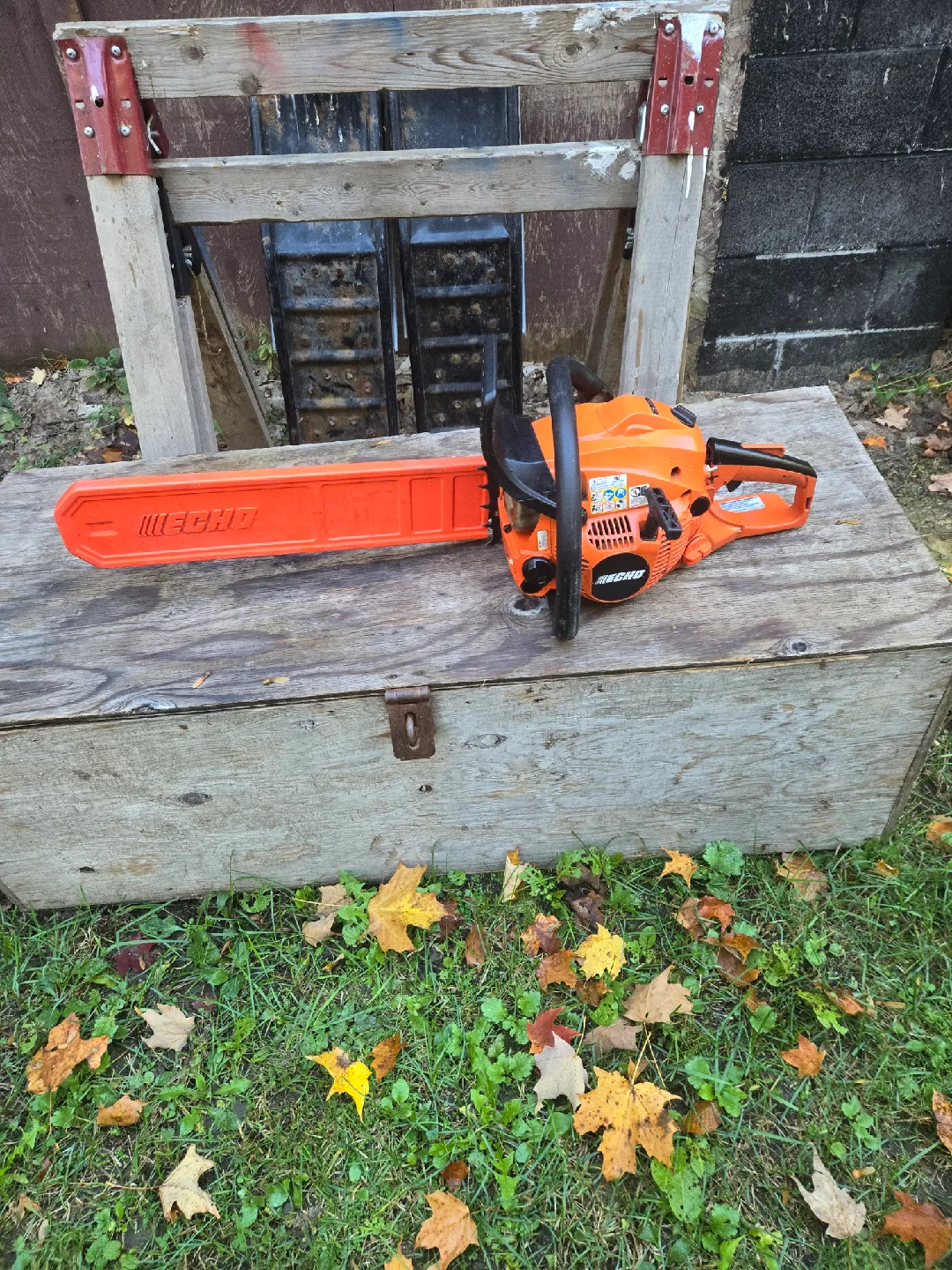 Echo Chainsaw image indicator(3)