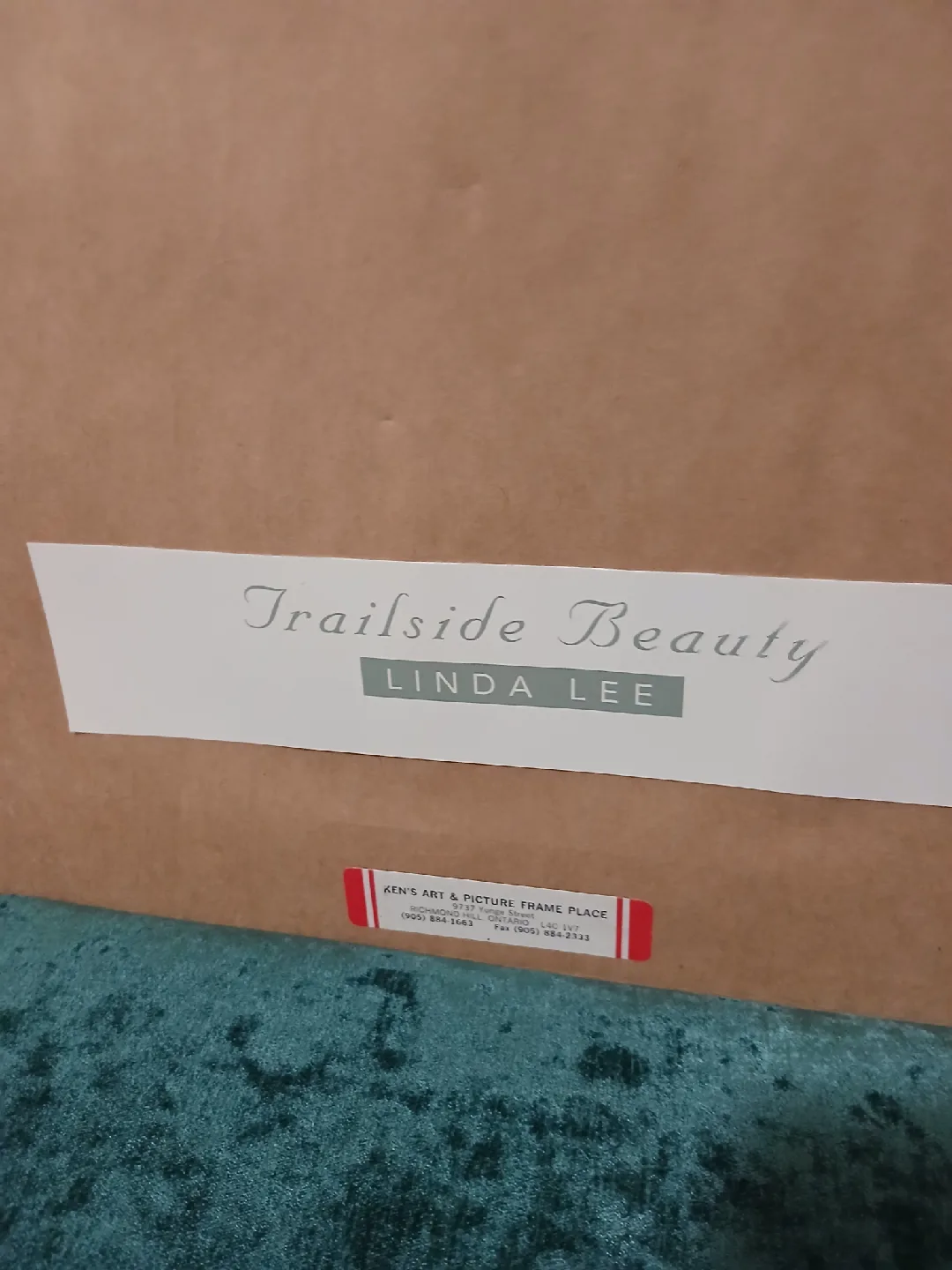 Trailside Beauty Framed Art by Linda Lee image indicator(2)