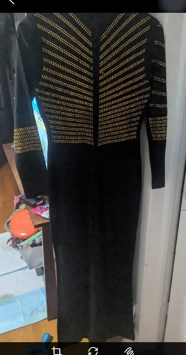 Black Long Sleeve Dress with Gold Embellishments thumbnail