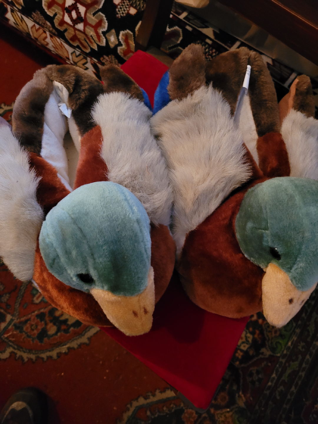 Duck Slippers