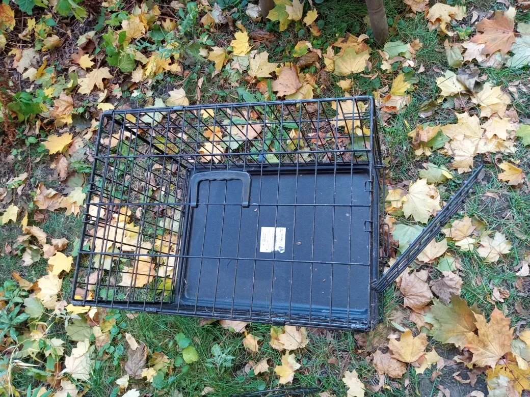 Precision Pet Products Dog Crate image indicator(2)