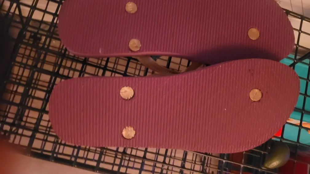 "🧡"HaveADream Floral Flip Flops image indicator(3)