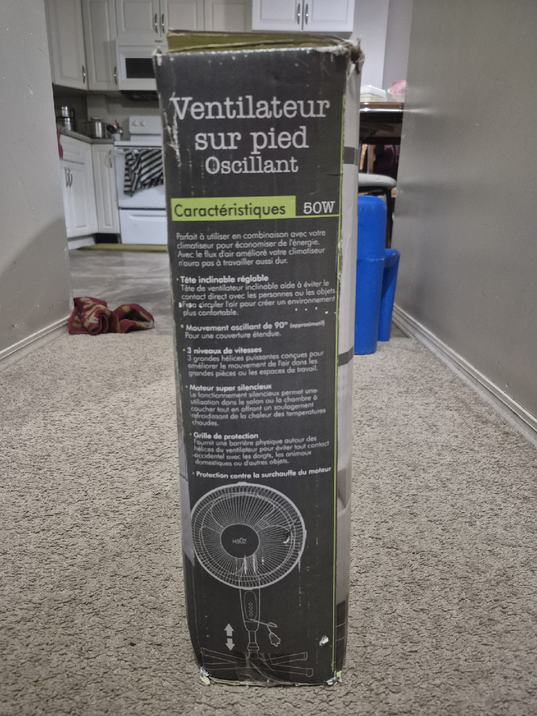 Haüz Living Basics Oscillating Pedestal Fan - 16 inch - photo 3