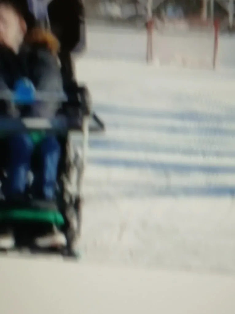 Winter! NEW Swiss Wheel Blades for Strollers+ image indicator(8)