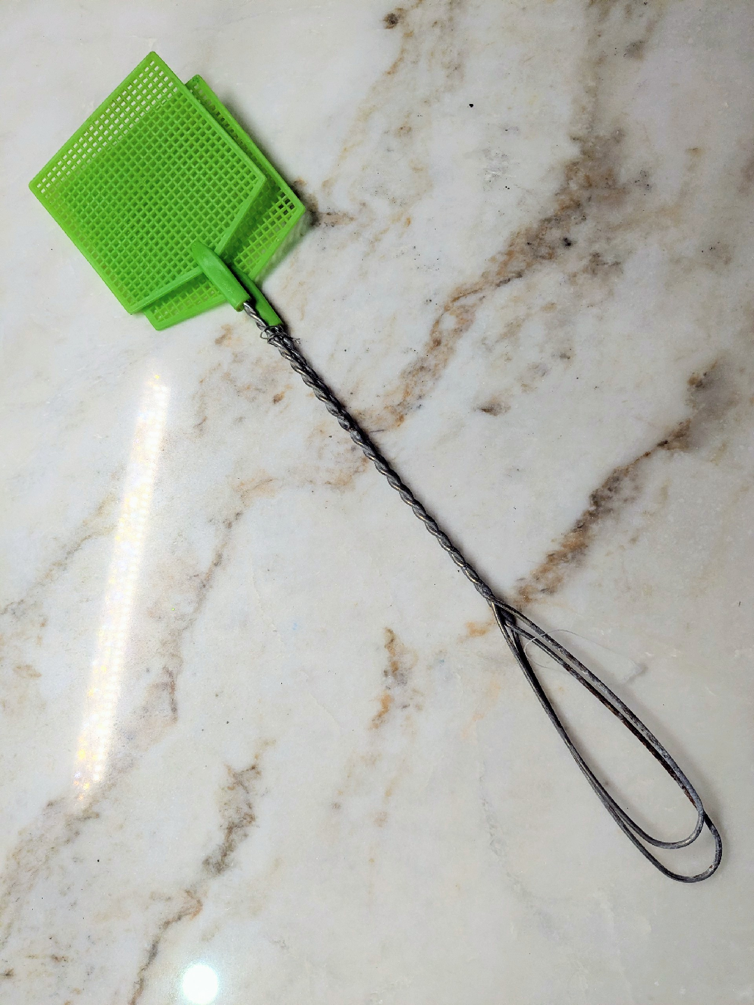 Green Fly Swatters 🥕
