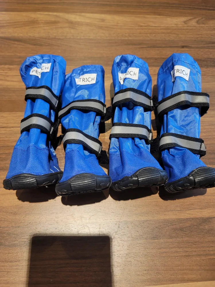 🥕 Blue Dog Boots thumbnail