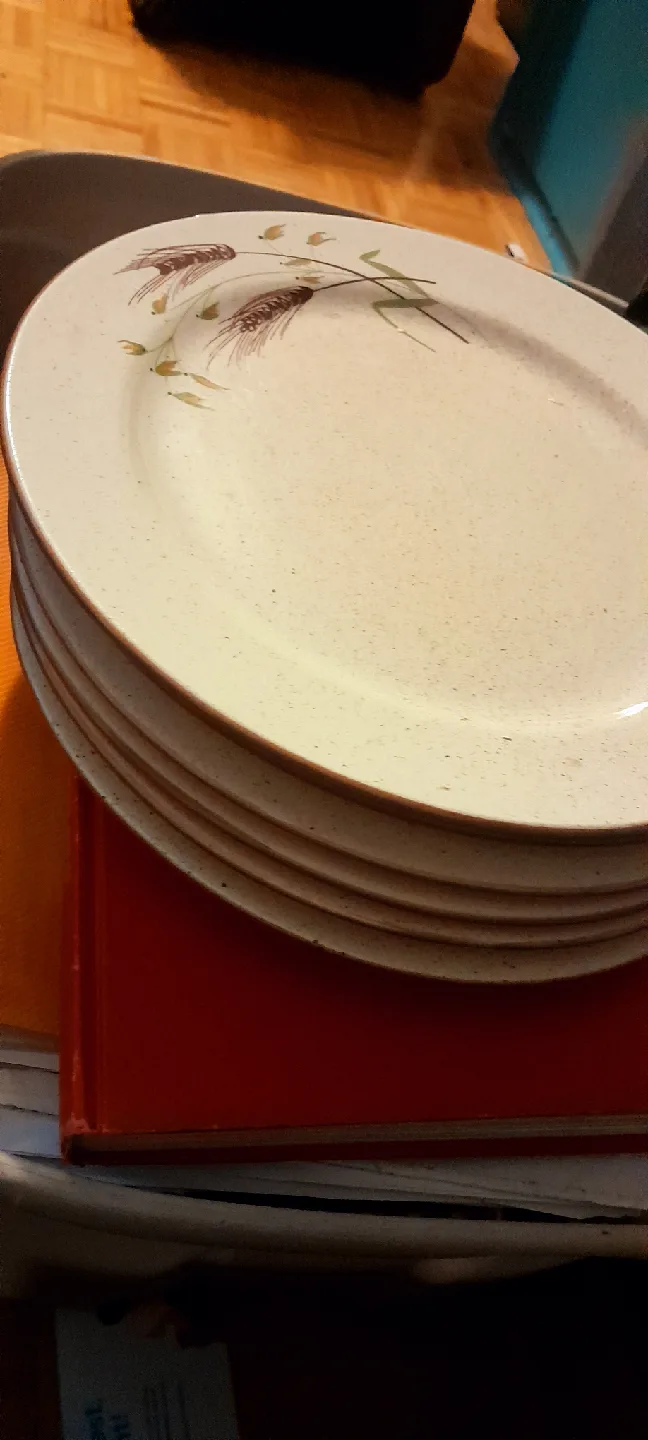 Vintage Harmony House Dinner Plates Set image indicator(3)