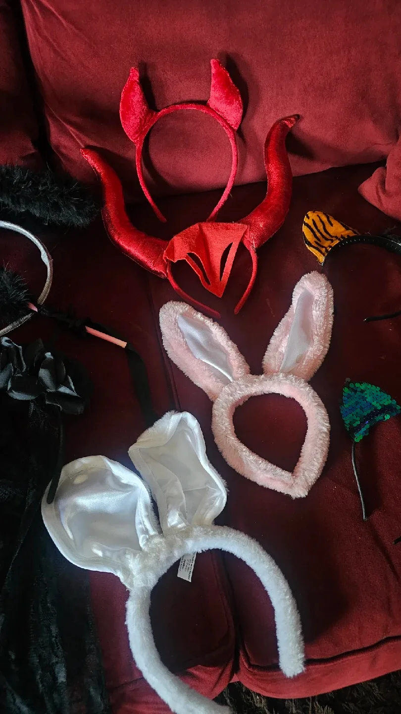 Halloween Costume Accessories Lot image indicator(2)