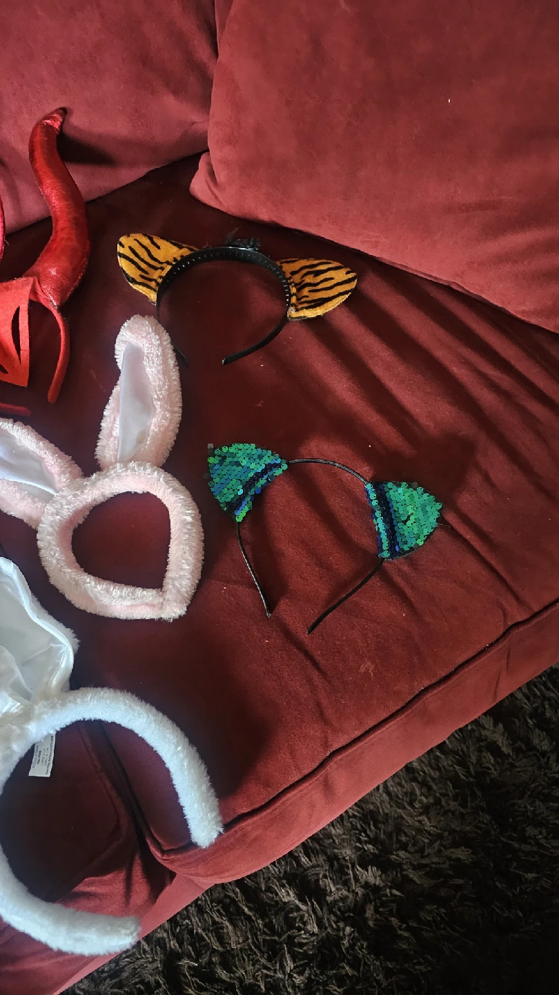 Halloween Costume Accessories Lot - photo 3