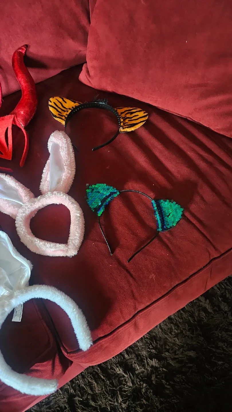 Halloween Costume Accessories Lot image indicator(3)