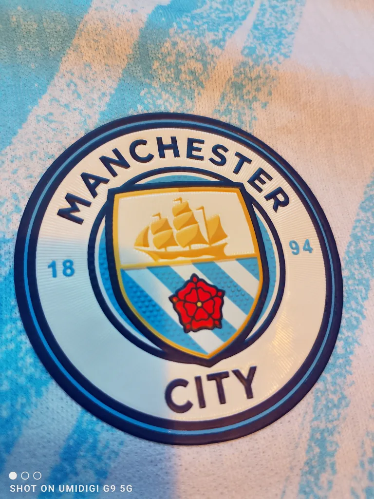 Puma Manchester City Haaland #9 Jersey image indicator(4)
