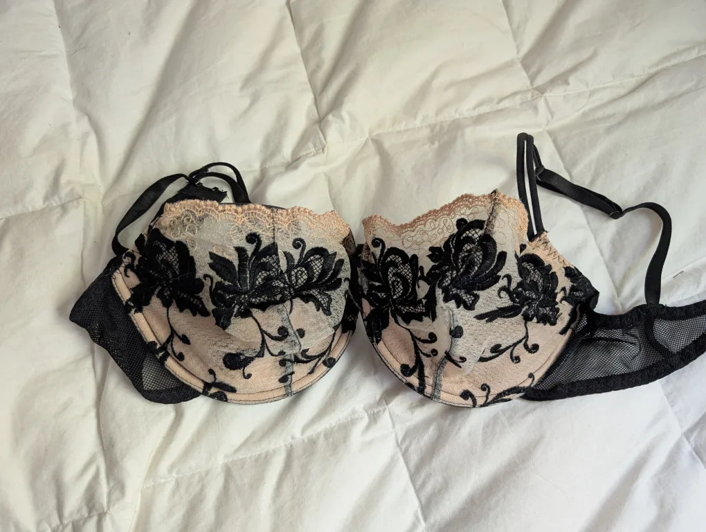 Lace Bra image indicator(2)