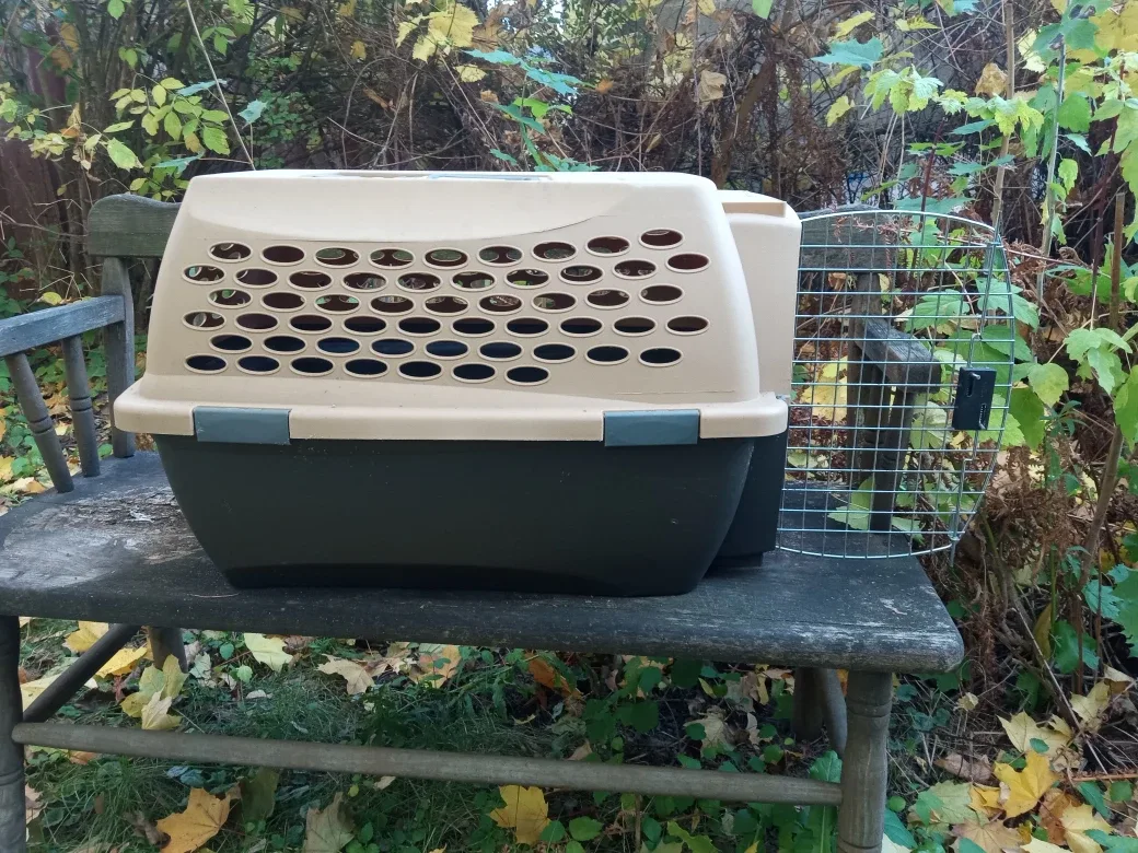 Petmate Kennel Cab Pet Carrier thumbnail
