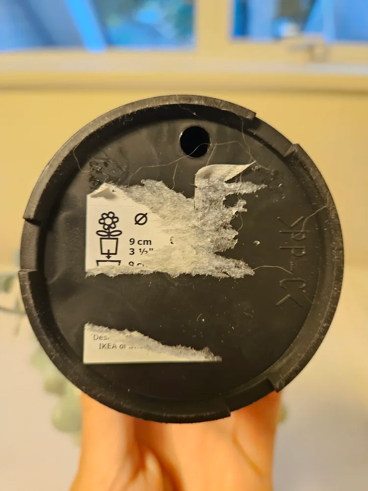 Ikea Artificial Plant with Pot - 9cm image indicator(3)