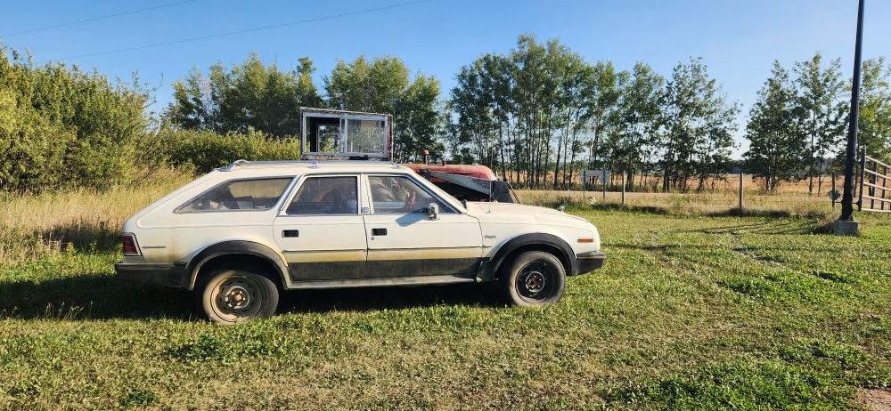 AMC Eagle Wagon - 1981 - photo 2