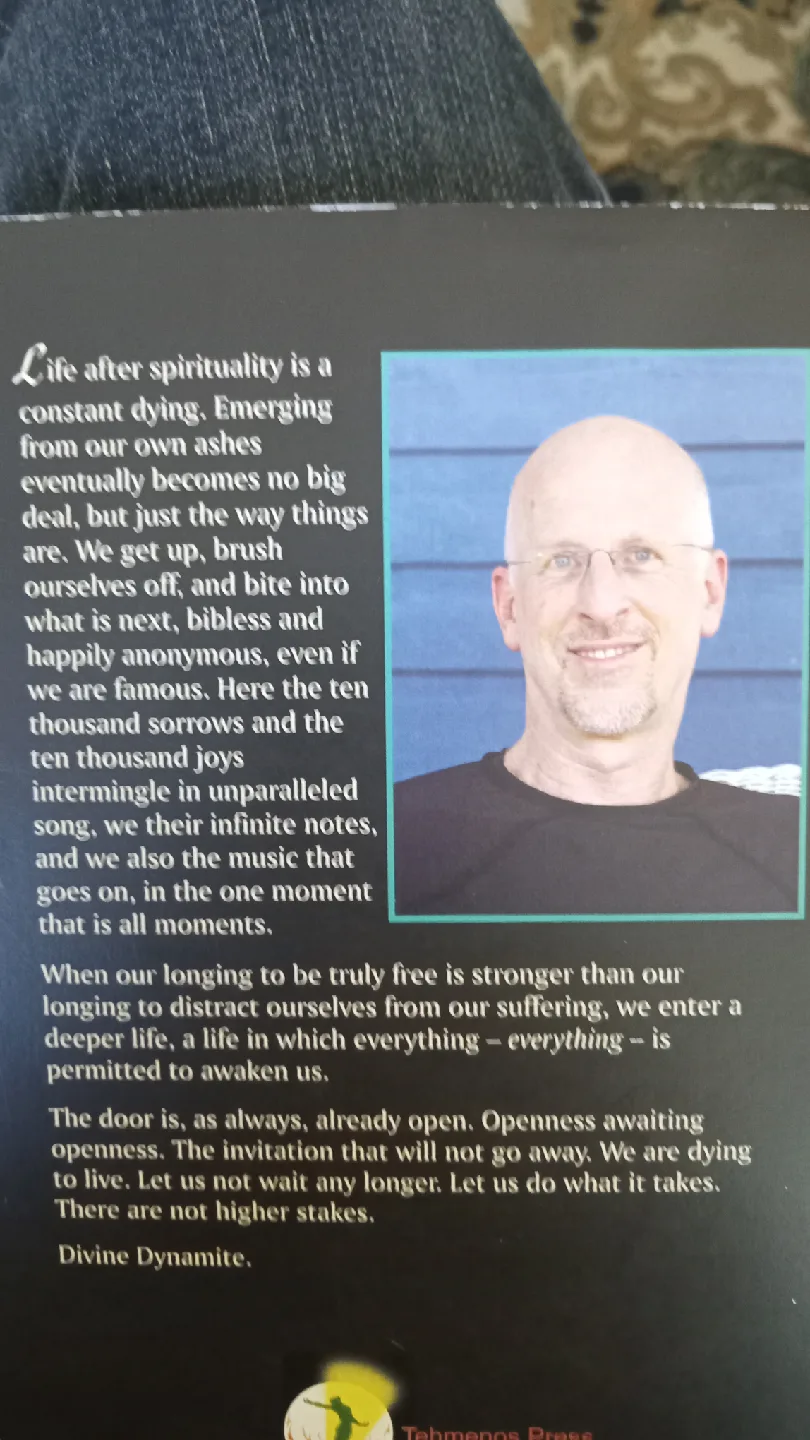 Divine Dynamite by Robert Augustus Masters image indicator(2)