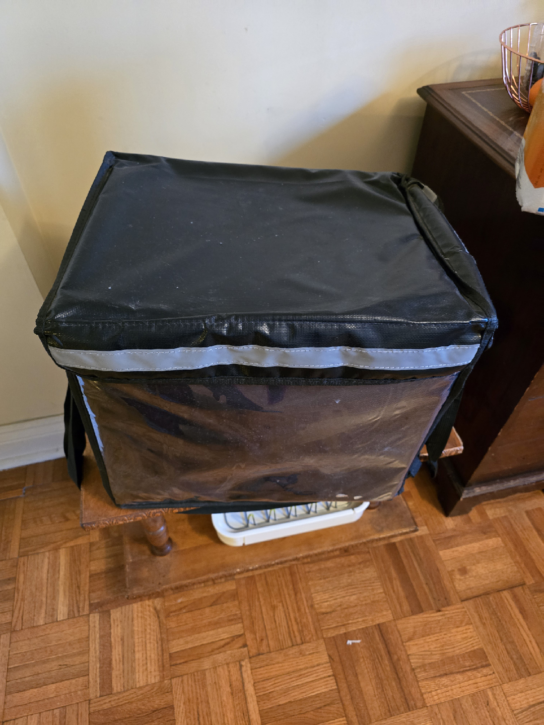 Insulated Food Delivery Bag - Like New!