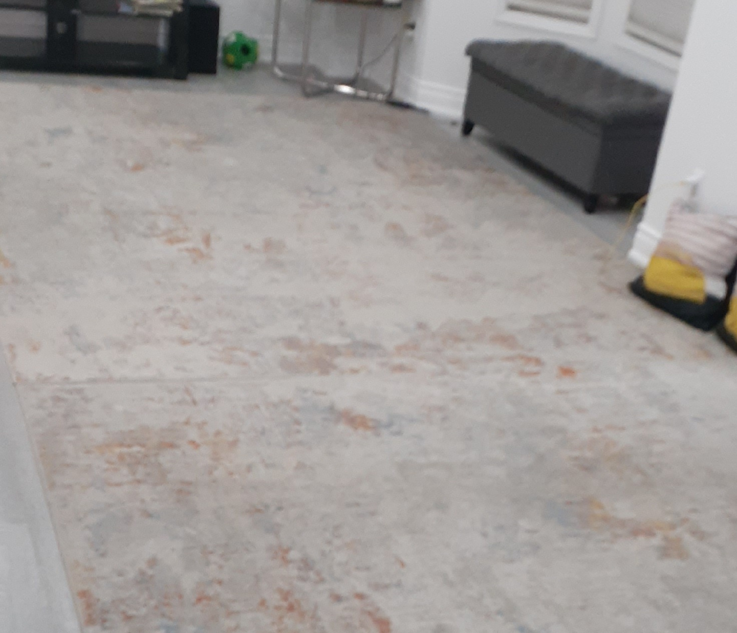 Area Rug - Neutral Tones