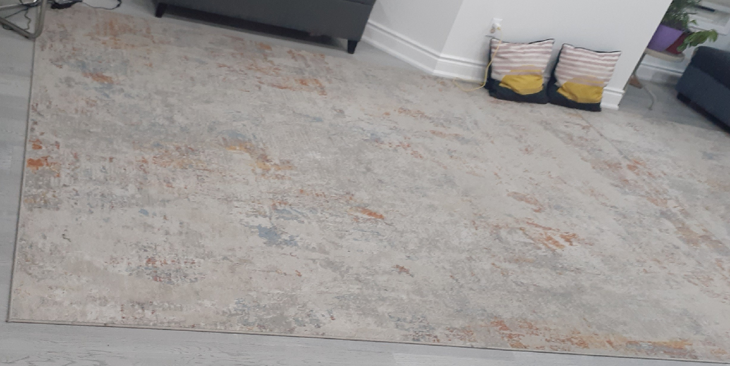 Area Rug - Neutral Tones - photo 2