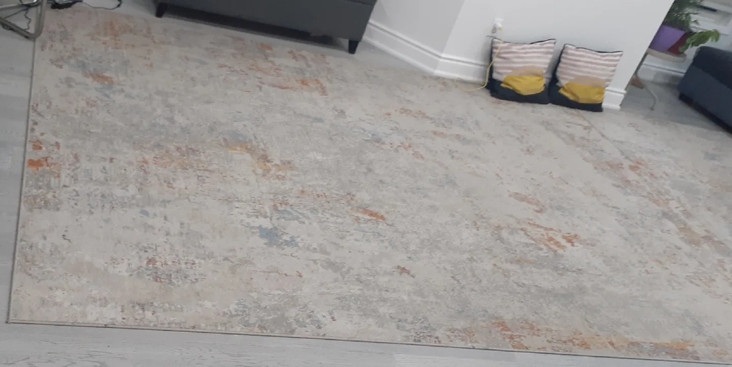 Area Rug - Neutral Tones image indicator(2)