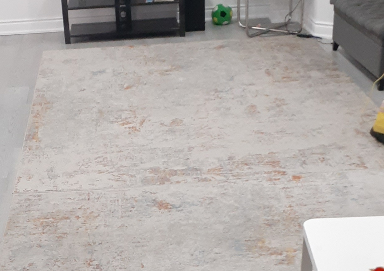 Area Rug - Neutral Tones - photo 3