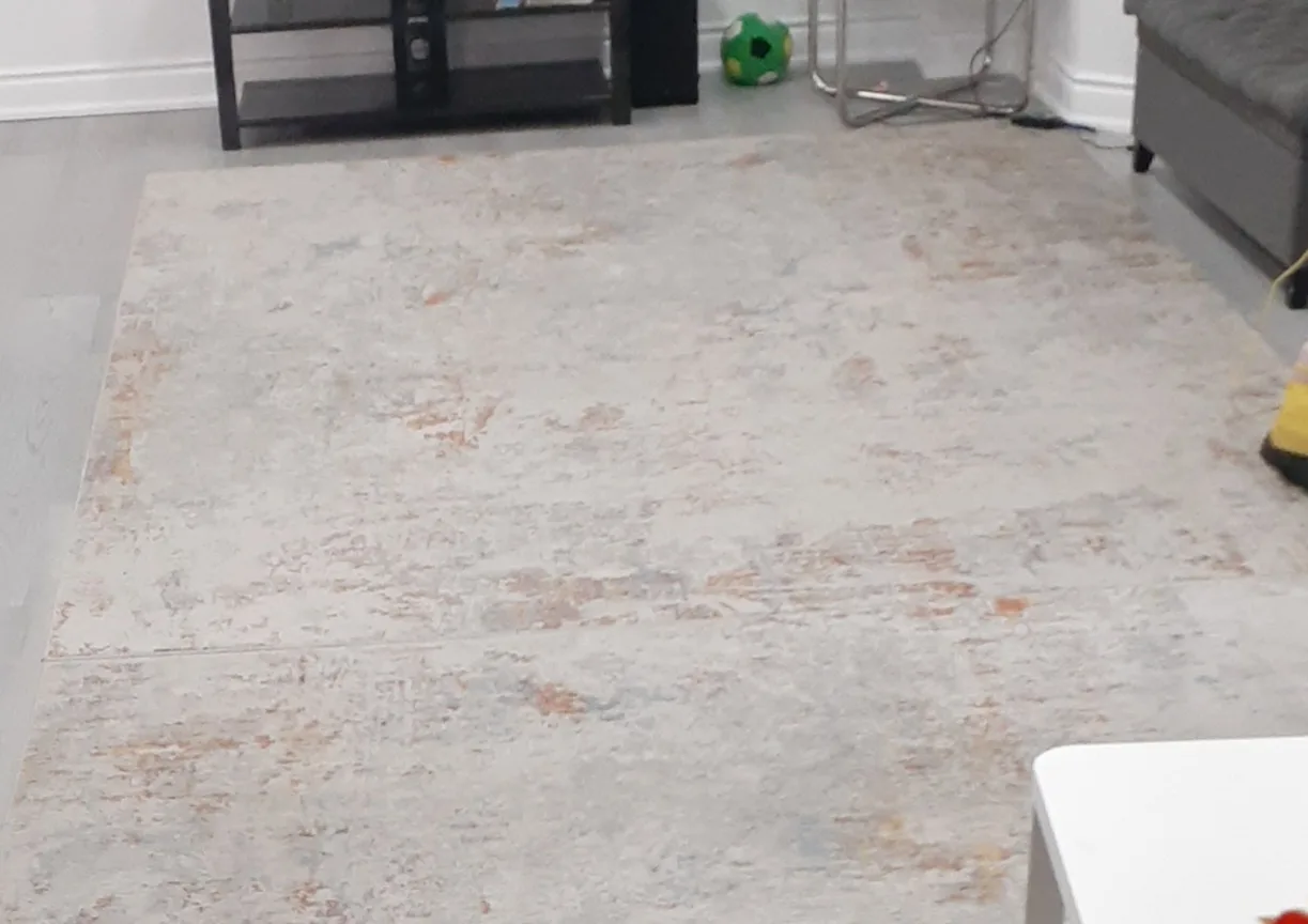 Area Rug - Neutral Tones image indicator(3)