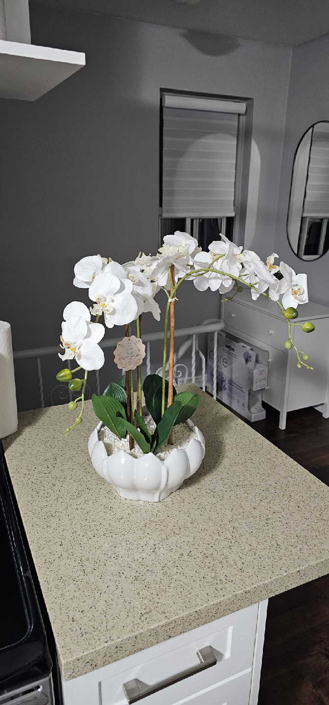 Homesense White Orchid Arrangement