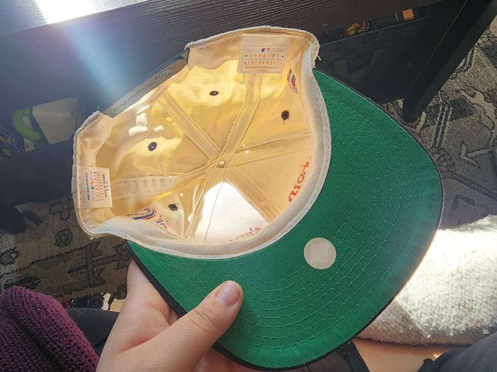 Vintage 1993 Blue Jays World Series Champions Hat - photo 4