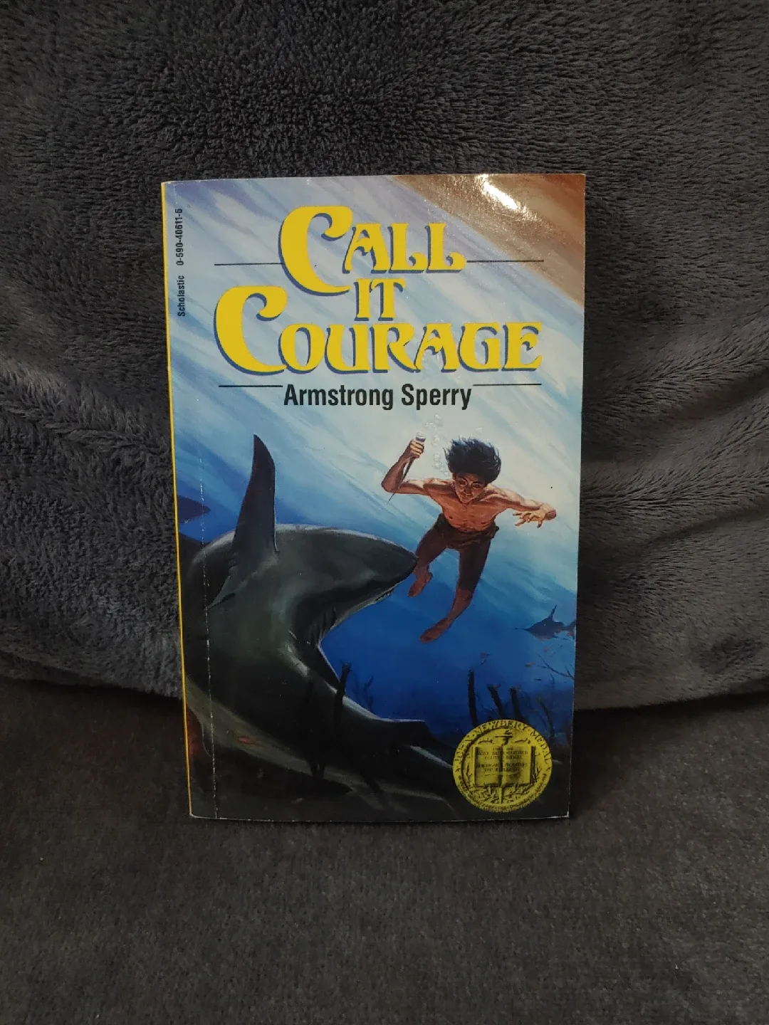 Call It Courage by Armstrong Sperry thumbnail