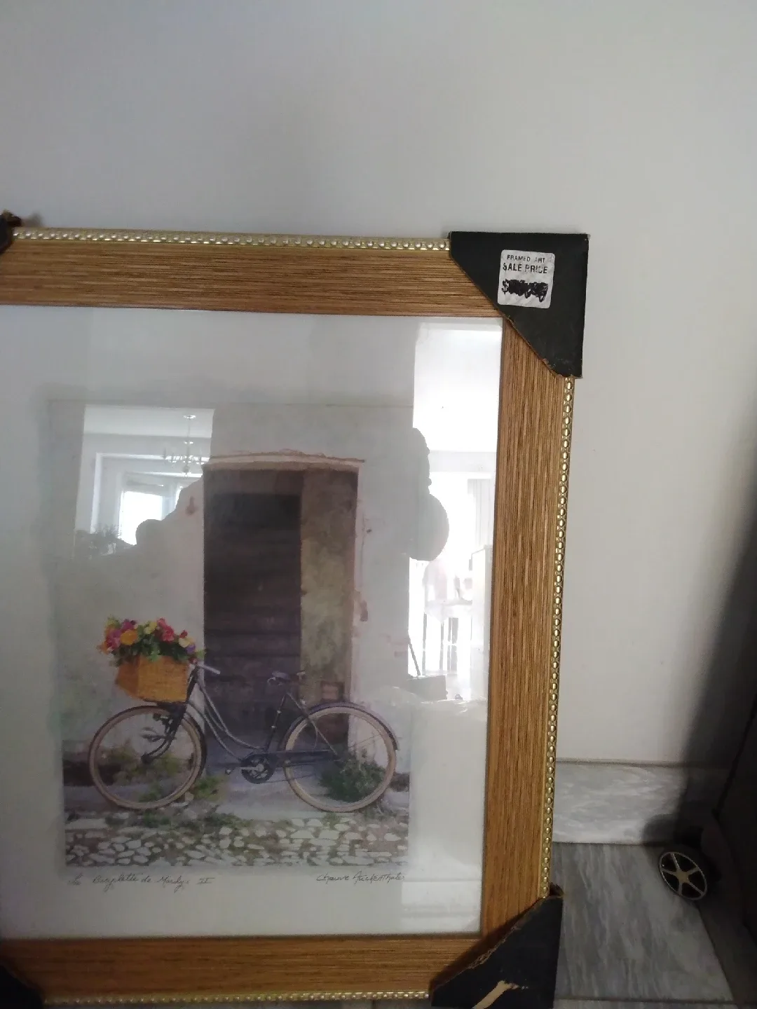 Framed Bicycle Picture image indicator(2)