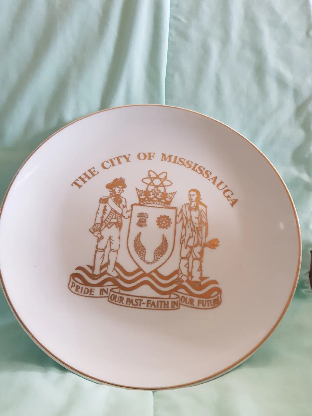 City of Mississauga Collector Plate image indicator(2)